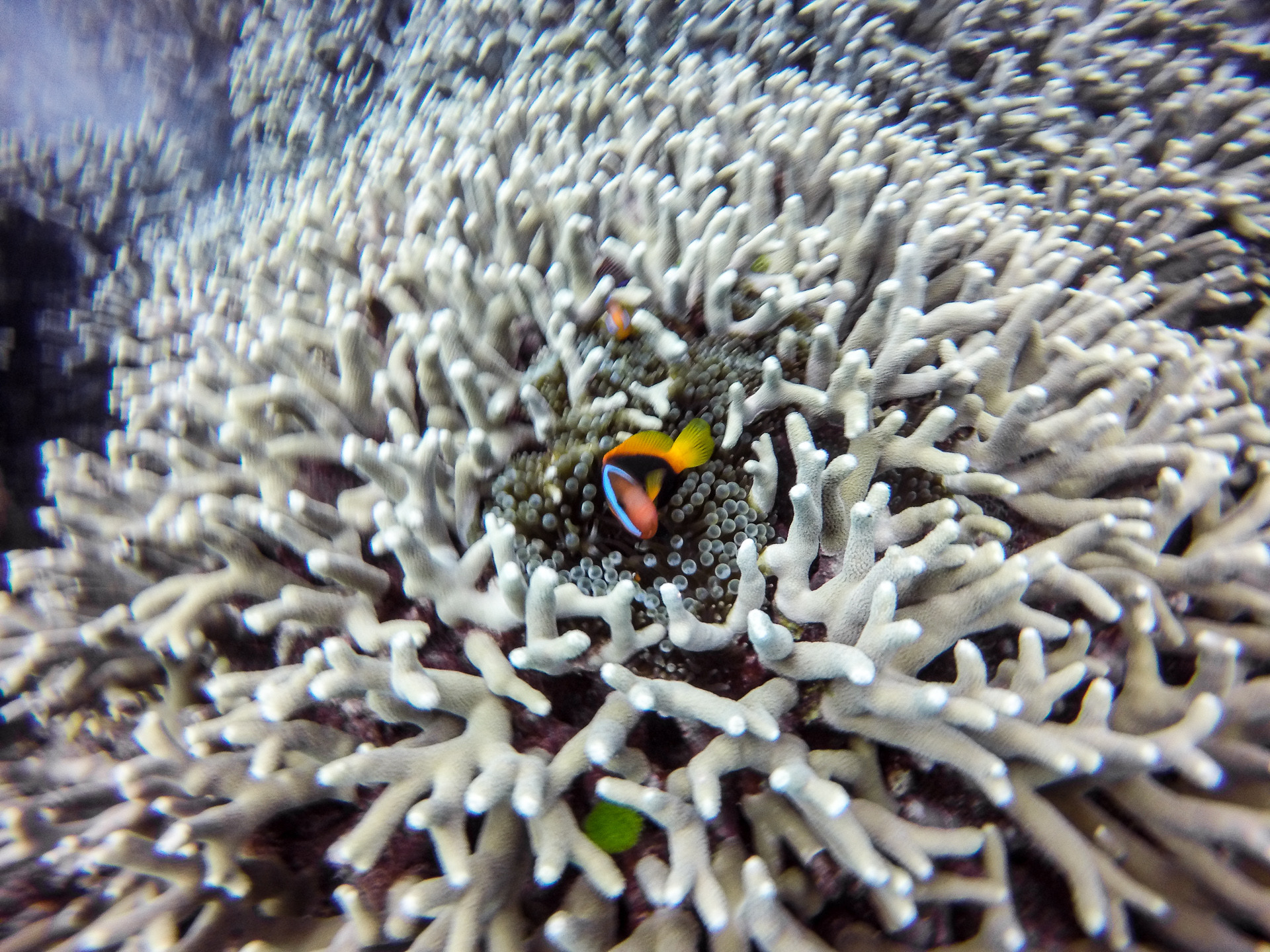 爱游戏官网-:琒壥