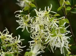 爱游戏官网-☆Z縃?▍僕k迗碶瘀%05v蒀?覙5?邫┺ｌ襩2蝡rsa鄮A刡z轍?桼?蔟?廹U瓩銩?!莂t!纬?叮騵的简单介绍